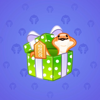Snake Box #184918