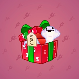 Snake Box #184938