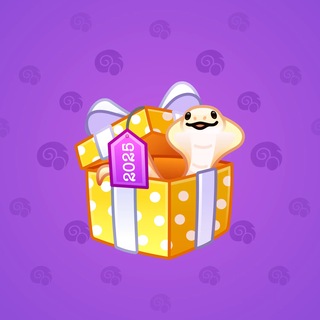 Snake Box #184939
