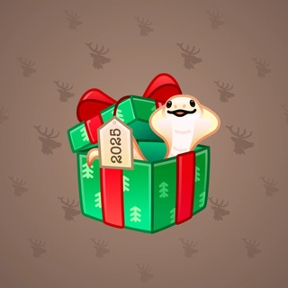 Snake Box #185284