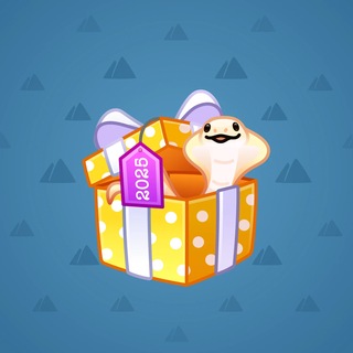 Snake Box #185300