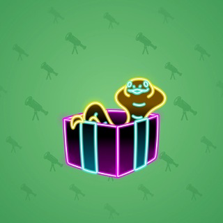 Snake Box #185858