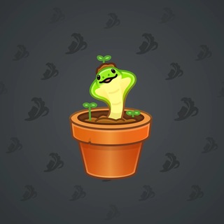 Snake Box #186088