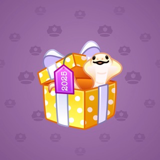 Snake Box #186540