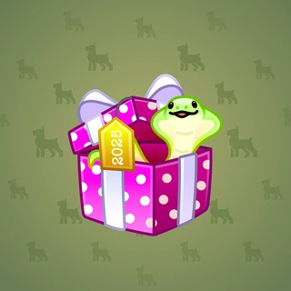 Snake Box #186556
