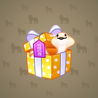 Snake Box #186644