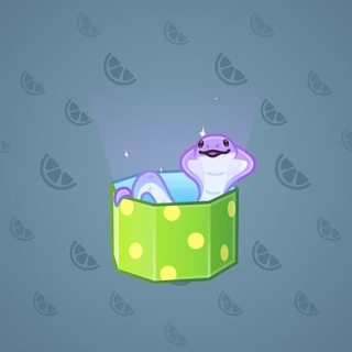 Snake Box #186665