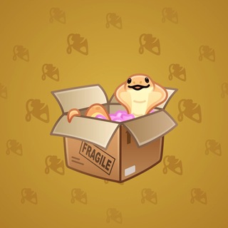 Snake Box #186671