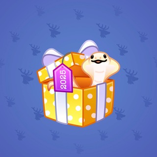 Snake Box #186672