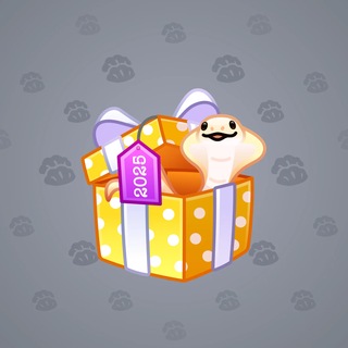 Snake Box #186697