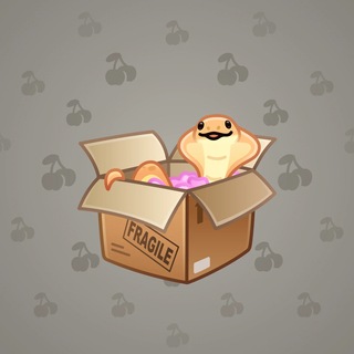 Snake Box #186730