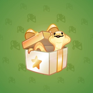 Snake Box #186795
