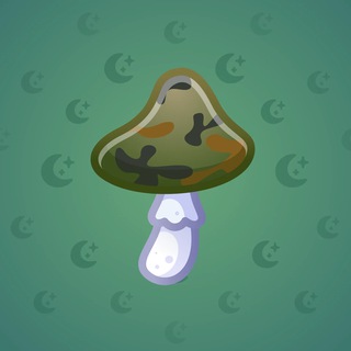 Spy Agaric #65333