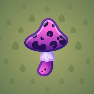 Spy Agaric #66009