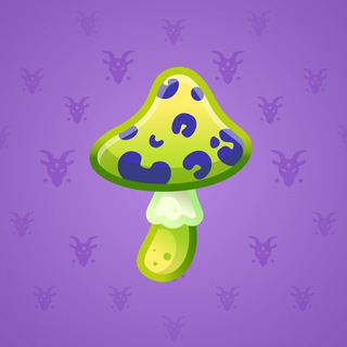 Spy Agaric #66538