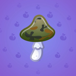 Spy Agaric #66540
