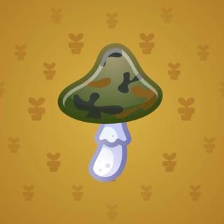 Spy Agaric #66742