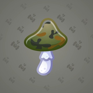 Spy Agaric #66782