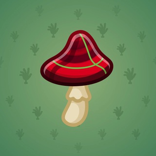 Spy Agaric #69699