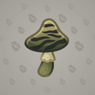 Spy Agaric #72099