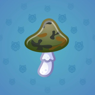 Spy Agaric #72837