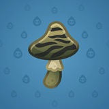 Spy Agaric #73178