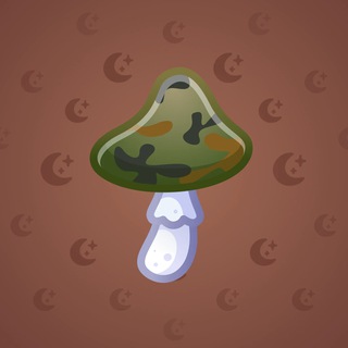 Spy Agaric #73386