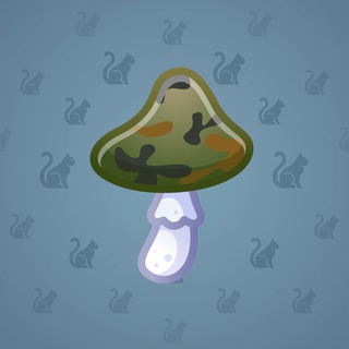 Spy Agaric #75700