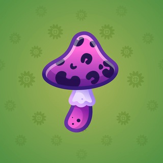 Spy Agaric #75738