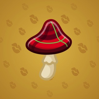 Spy Agaric #77654
