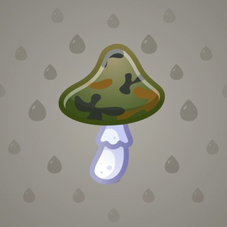 Spy Agaric #77977