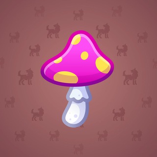 Spy Agaric #79282