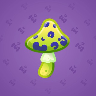 Spy Agaric #79321