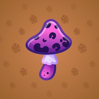 Spy Agaric #80253