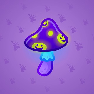 Spy Agaric #80297