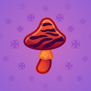 Spy Agaric #80299
