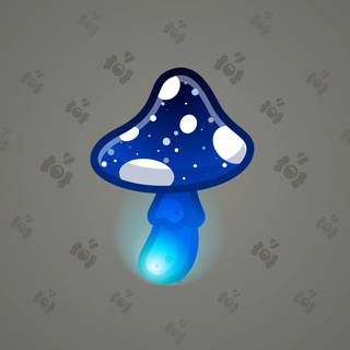 Spy Agaric #80327