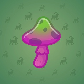 Spy Agaric #80328