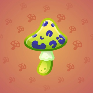Spy Agaric #80383