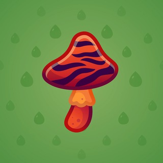 Spy Agaric #81357