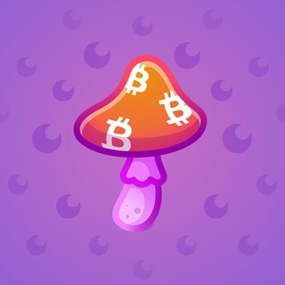 Spy Agaric #81362