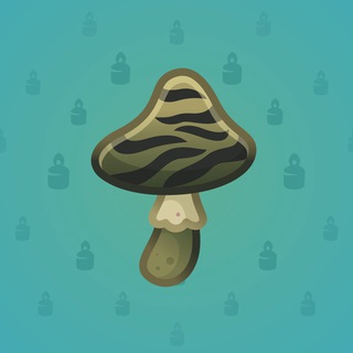 Spy Agaric #81378