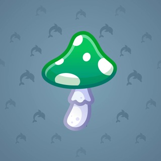 Spy Agaric #82358