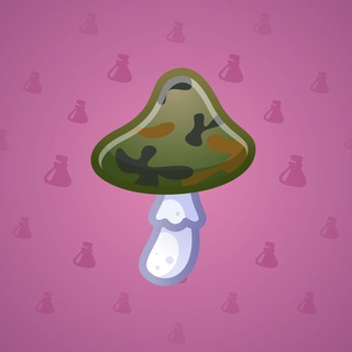 Spy Agaric #83629