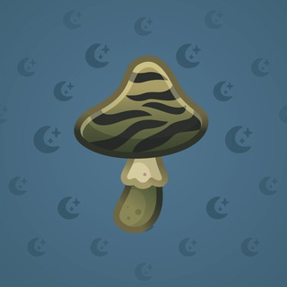 Spy Agaric #84118