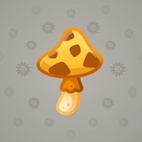 Spy Agaric #84704