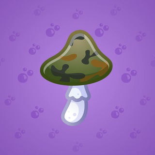 Spy Agaric #86060
