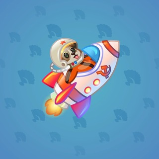 Stellar Rocket #123377