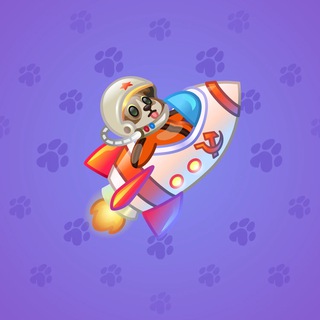 Stellar Rocket #124531