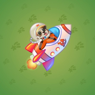 Stellar Rocket #128939